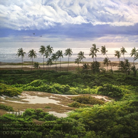 BRISA DO COQUEIRO, 60×60 (sold)