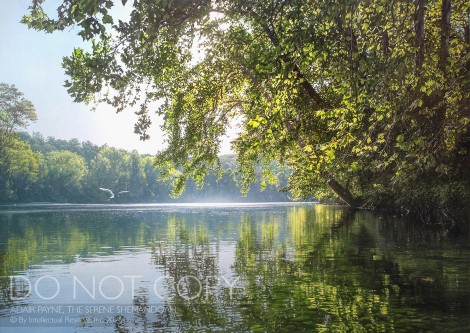 THE SERENE SHENANDOAH, 48×68 (sold)