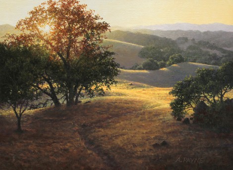 BRIONES FIREFALL, 9×12 (sold)