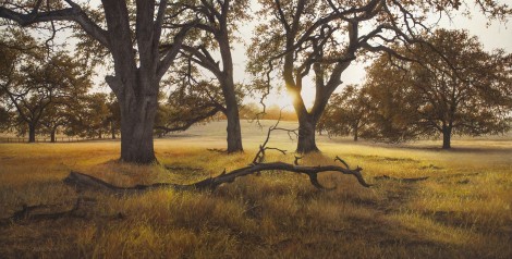 SOUTH FLEMING RANCH, 24×48 (sold)